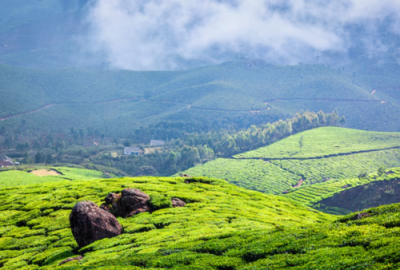 Munnar.png