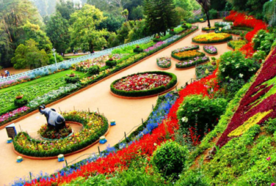 Ooty.png