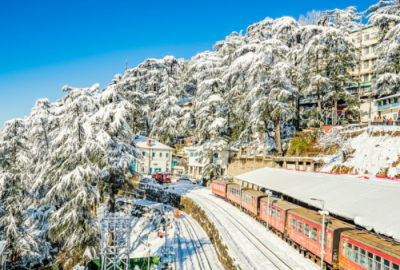 Shimla.png